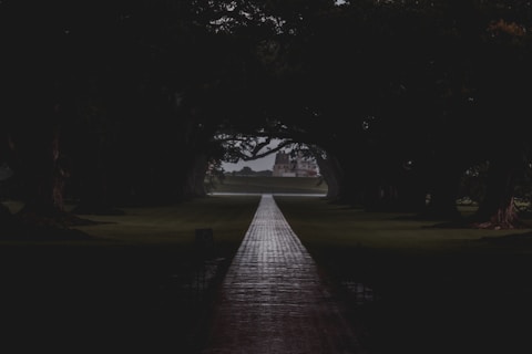 A long, straight pathway leads through a tunnel formed by a canopy of dark trees. The path is wet, reflecting the limited light, and in the distance, a structure is visible at the end. The surroundings are shrouded in shadow, creating a mysterious and dramatic atmosphere.