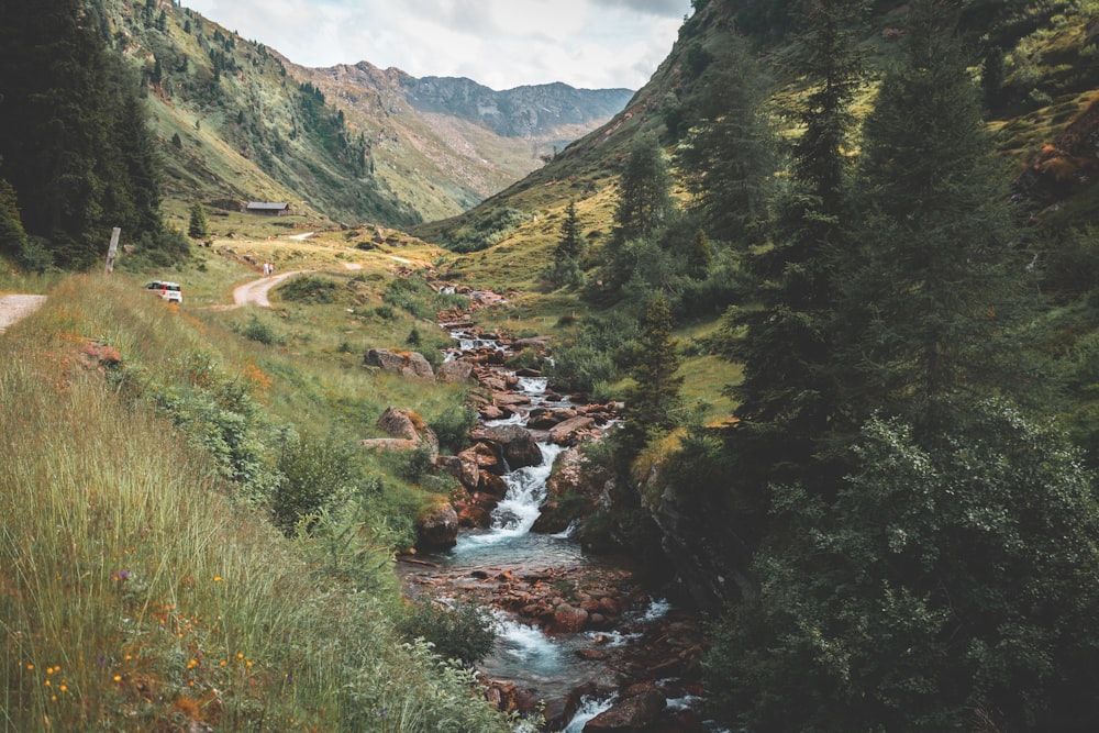 fotografia de paisagem do corpo de água cercado por árvores perto de montanhas