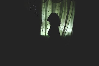 A silhouette of a person is visible against a softly lit green curtain with a leaf pattern. The light creates an ethereal and somewhat mysterious atmosphere.