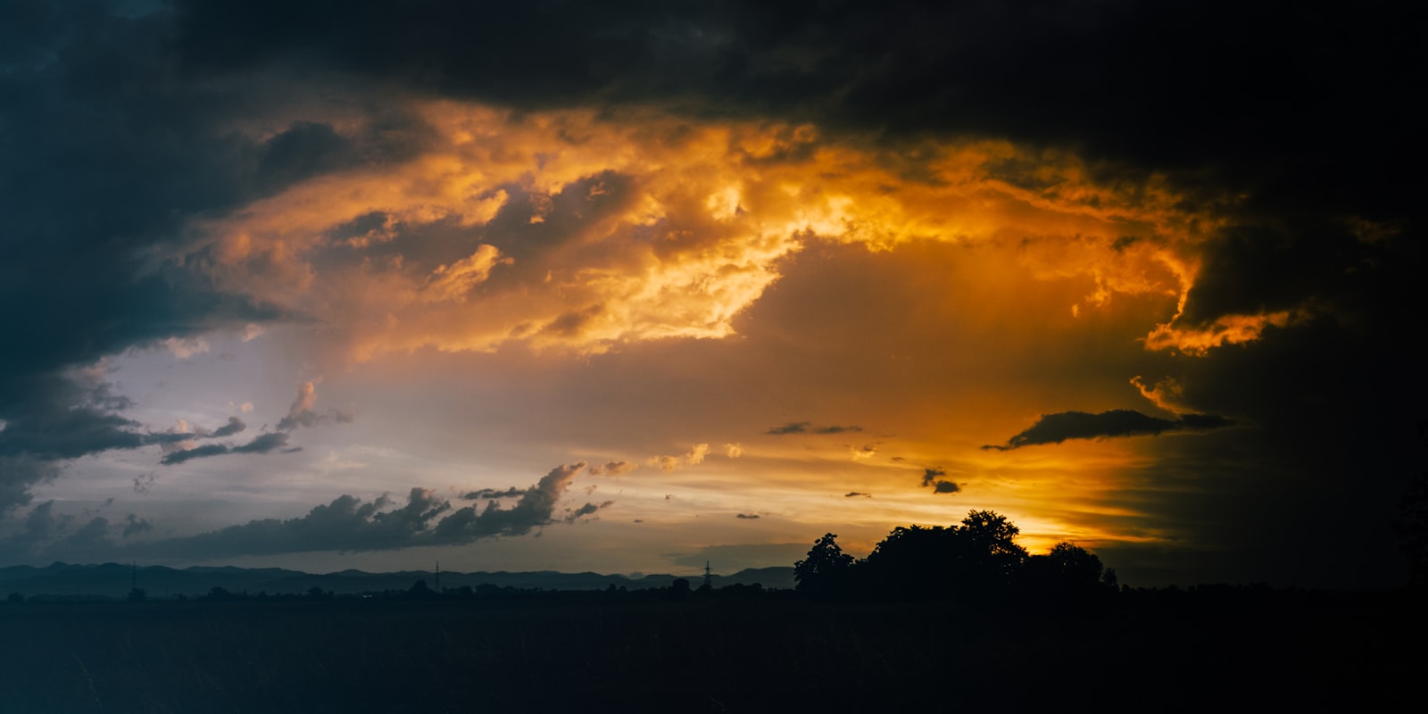 Nikon D5300 + Sigma 10-20mm F3.5 EX DC HSM sample photo. Silhouette of trees under photography