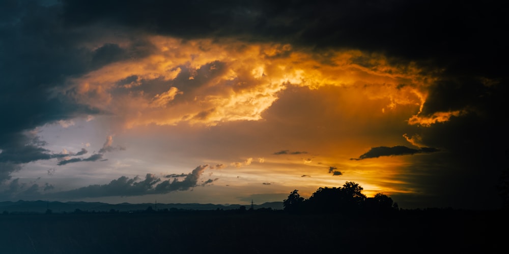 silhouette of trees under cloudy sky