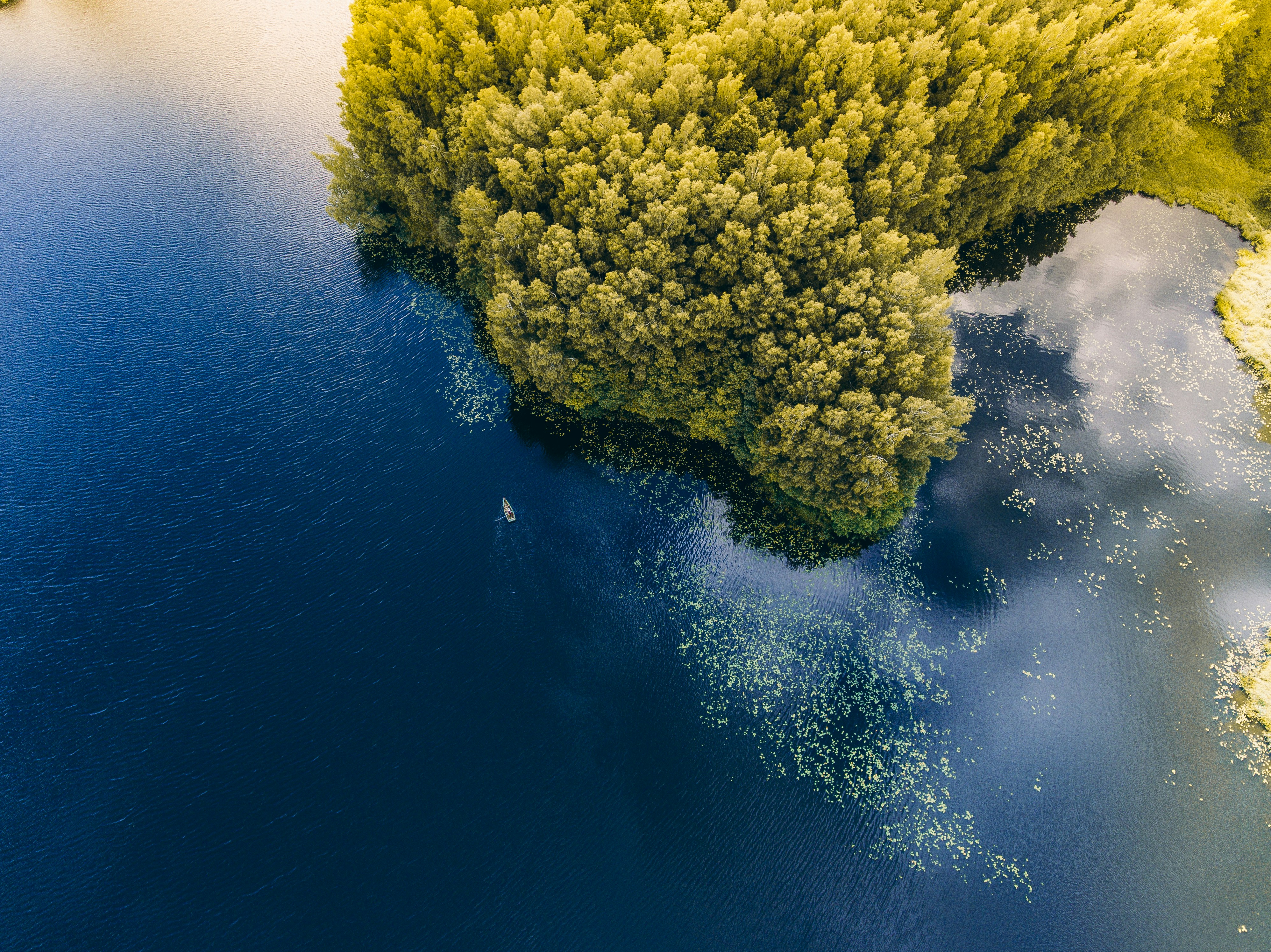 aerial photography of island surrounded by body of water