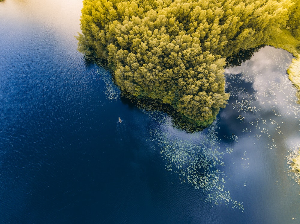 Photographie aérienne d’une île entourée d’un plan d’eau