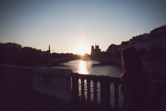 woman leaning on rail facing body of water in Pont de la Tournelle France