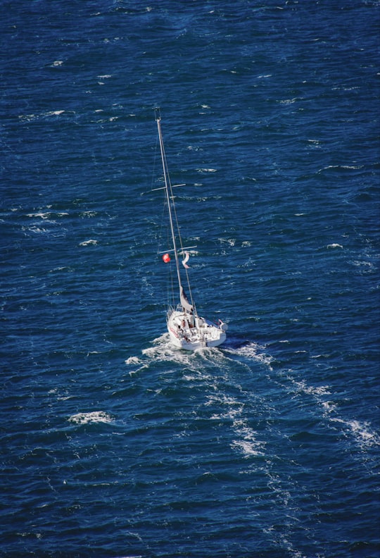 yacht sailing in body of water in Sydney Harbour Australia