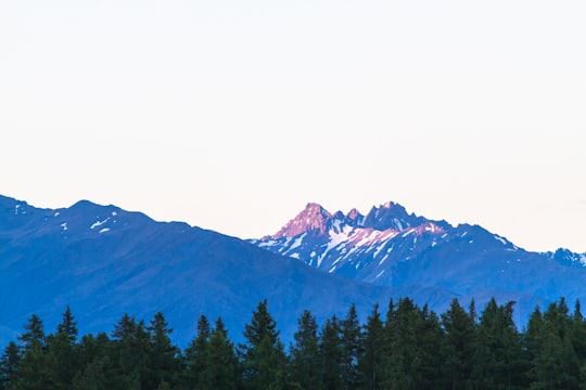 mountain and forest in Fox Glacier New Zealand