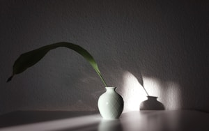 Matte Ceramic Vase