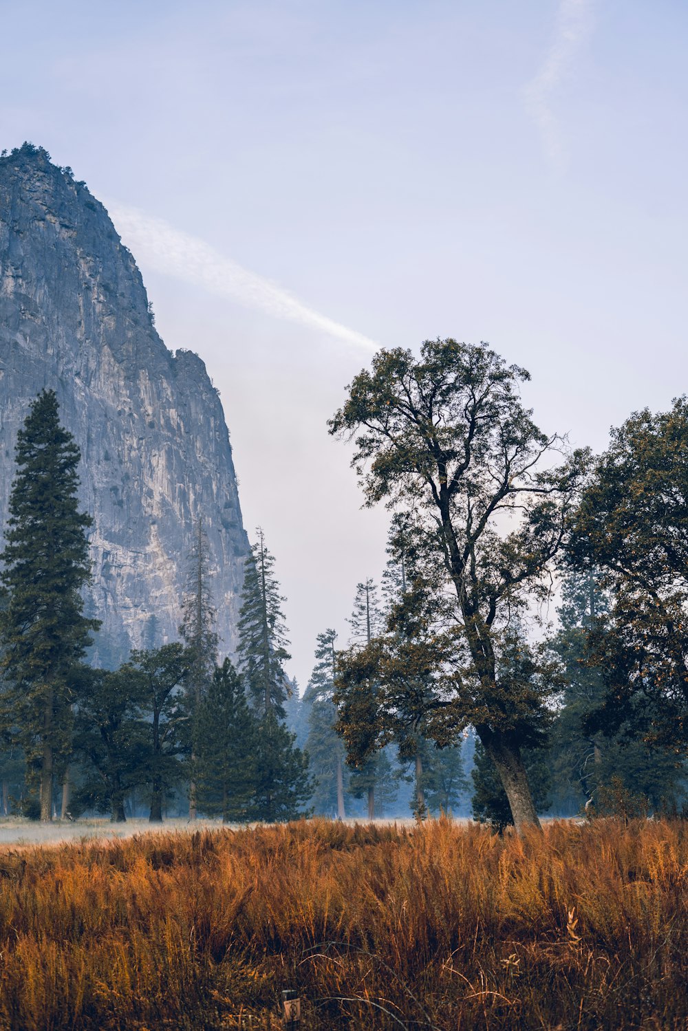 green trees near mountain under white clouds