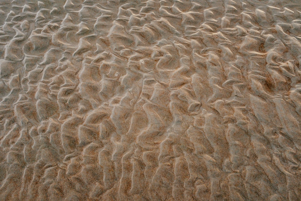 a sandy beach with a wave pattern on it