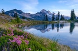 A wide shot of a tranquil lake reflecting vibrant wildflowers and distant peaks.