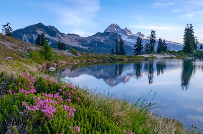 A serene mountain vista in the Central Cascades with wildflowers in the foreground.