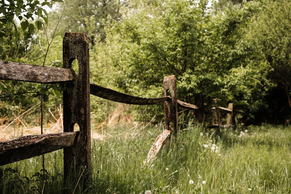 valla de madera marrón junto a árboles verdes y hierba