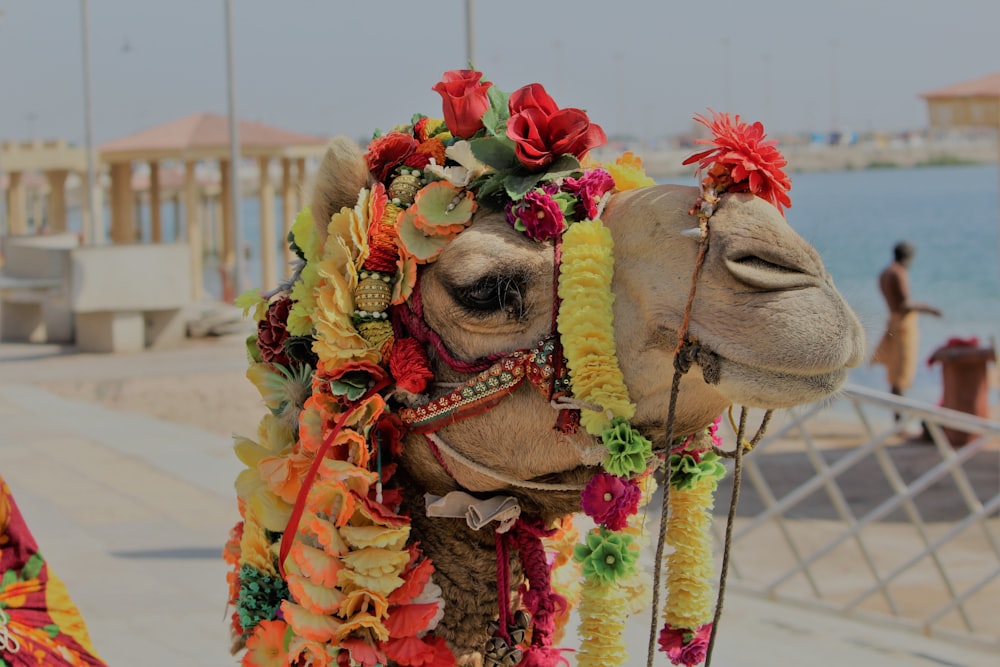 chameau avec des décorations florales