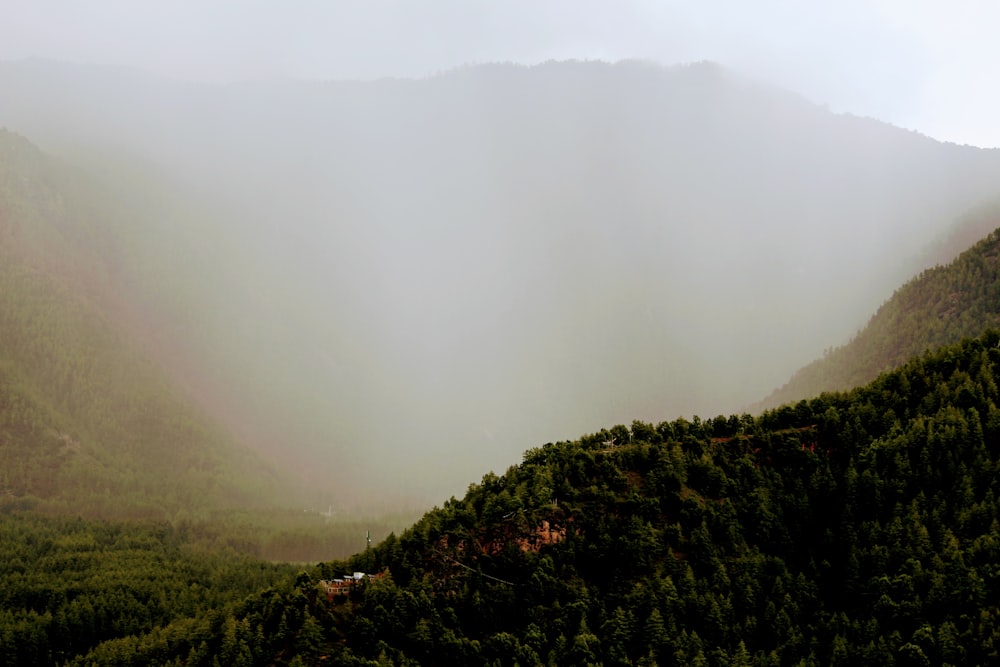 trees near mountain during daytime