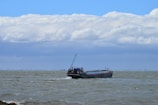 A large cargo ship navigates through choppy waters under a sky filled with thick, white clouds. The distant horizon is faintly visible, suggesting a coast or city skyline far away.