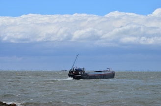 A large cargo ship navigates through choppy waters under a sky filled with thick, white clouds. The distant horizon is faintly visible, suggesting a coast or city skyline far away.