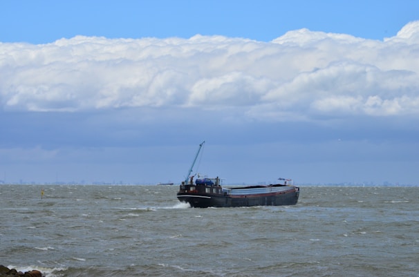 A large cargo ship navigates through choppy waters under a sky filled with thick, white clouds. The distant horizon is faintly visible, suggesting a coast or city skyline far away.