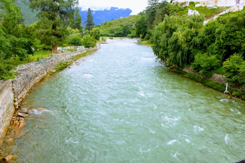 A serene river flowing through a lush green landscape with engineered water channels.