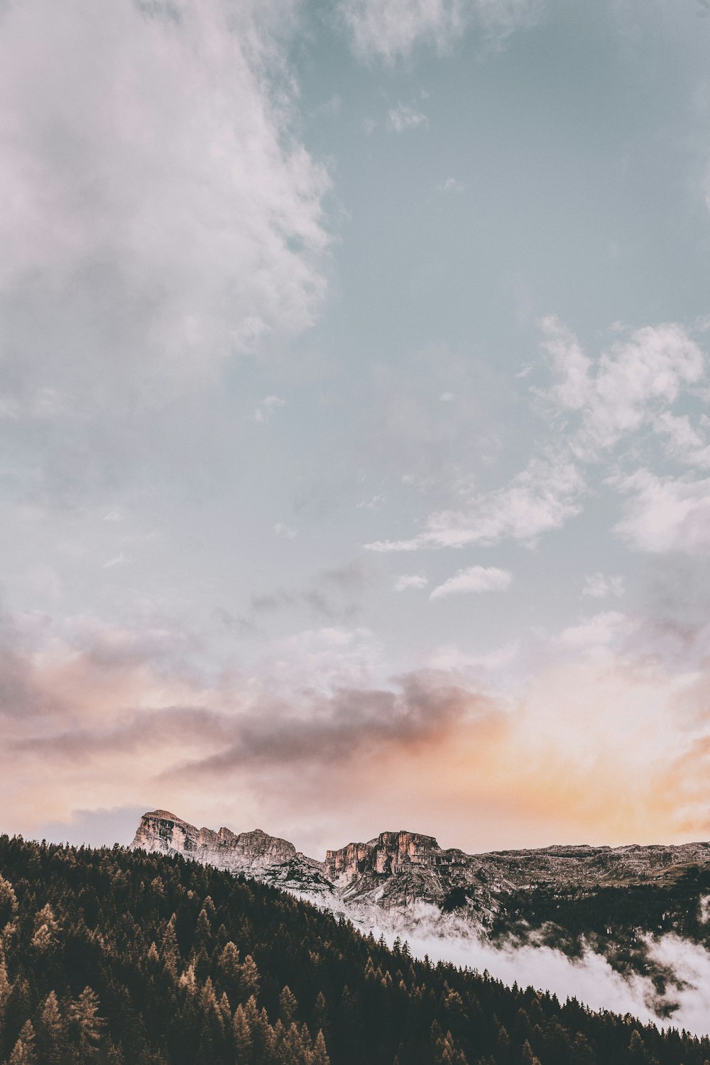 snowy mountains and forest during daytime