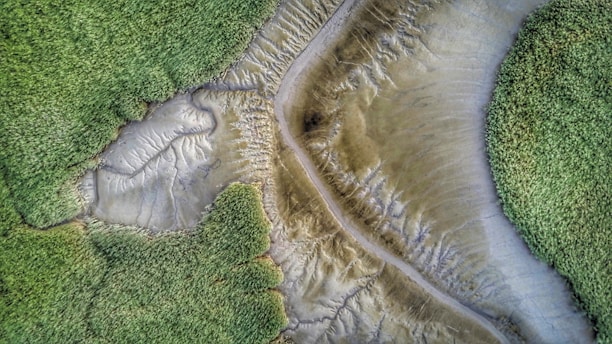 Aerial view of a landscape featuring a network of channels or paths separating areas of lush green vegetation from bare earth or mud. The intricate patterns formed by the natural terrain create an abstract, organic design.