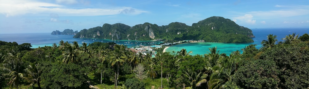 ocean near green trees during daytime