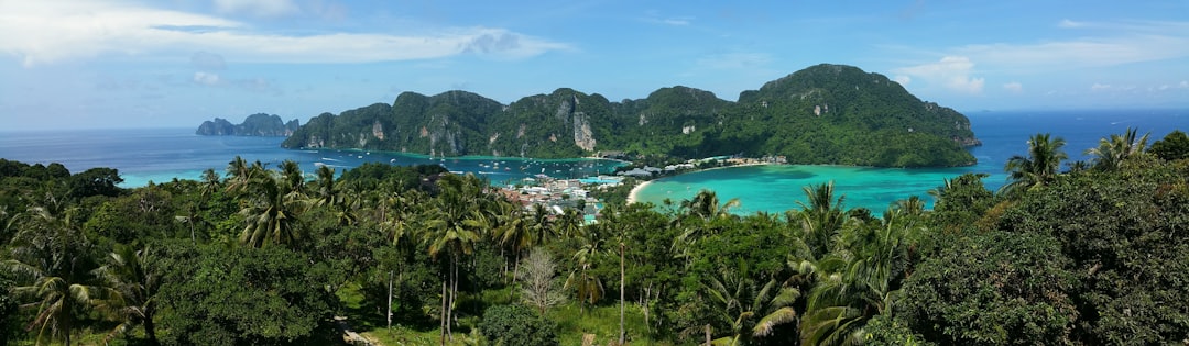 ocean near green trees during daytime