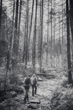 A black and white photograph capturing two hikers walking along a rocky path surrounded by tall trees in a dense forest. Both hikers carry backpacks and use trekking poles, creating a sense of adventure and exploration in a natural setting.