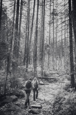 A black and white photograph capturing two hikers walking along a rocky path surrounded by tall trees in a dense forest. Both hikers carry backpacks and use trekking poles, creating a sense of adventure and exploration in a natural setting.