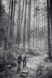 A black and white photograph capturing two hikers walking along a rocky path surrounded by tall trees in a dense forest. Both hikers carry backpacks and use trekking poles, creating a sense of adventure and exploration in a natural setting.