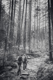 A black and white photograph capturing two hikers walking along a rocky path surrounded by tall trees in a dense forest. Both hikers carry backpacks and use trekking poles, creating a sense of adventure and exploration in a natural setting.