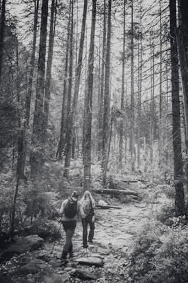 A black and white photograph capturing two hikers walking along a rocky path surrounded by tall trees in a dense forest. Both hikers carry backpacks and use trekking poles, creating a sense of adventure and exploration in a natural setting.