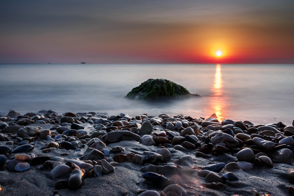 closeup photography of pebbles near ocean at golden hour