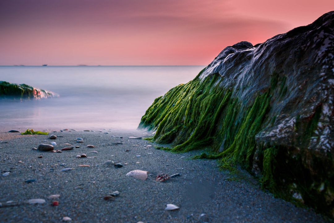 Beach photo spot Villa Rosa Italy