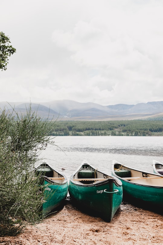 three green canoes on shoreline in Loch Morlich United Kingdom