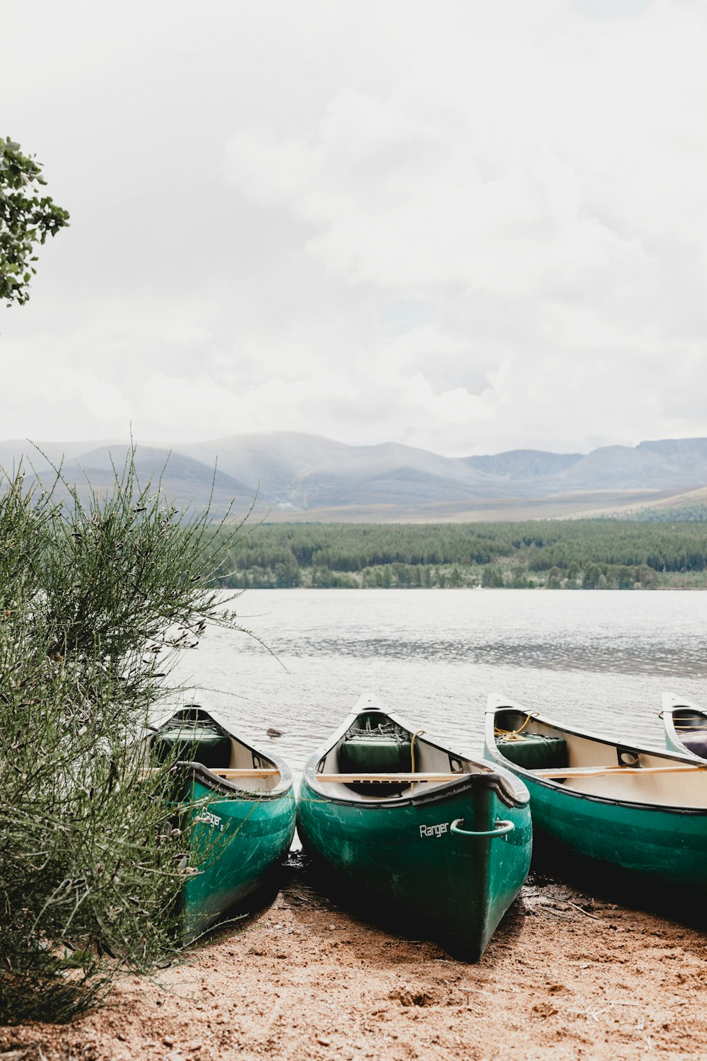 three green canoes on shoreline