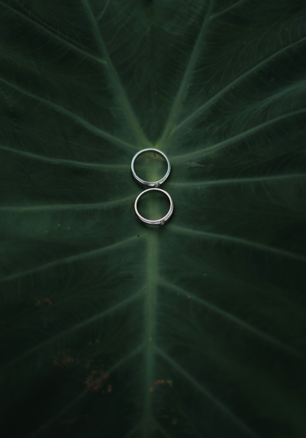 two silver-colored rings