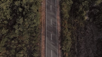 Aerial view of a newly paved stretch of the Transamazônica highway cutting through lush Amazon forest.