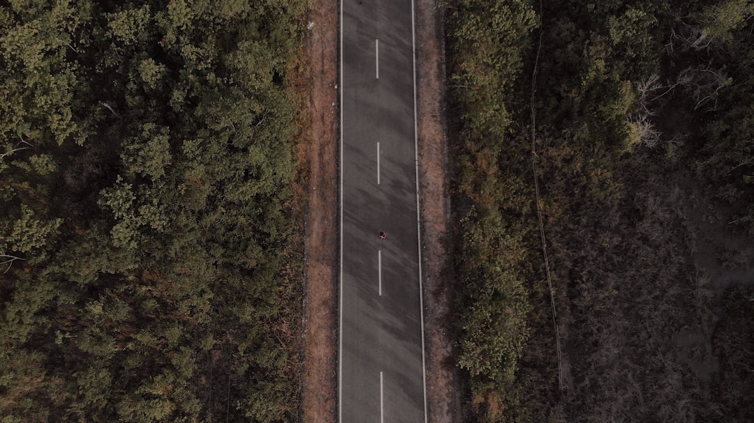 Auto-Hol Jerzy Józwiak