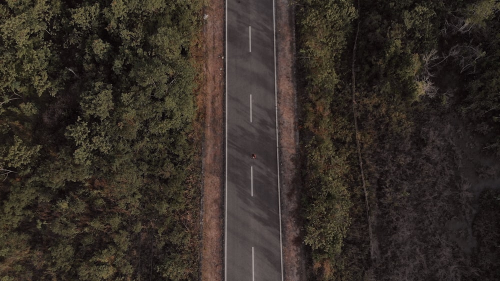 aerial photography of concrete road between trees at daytime
