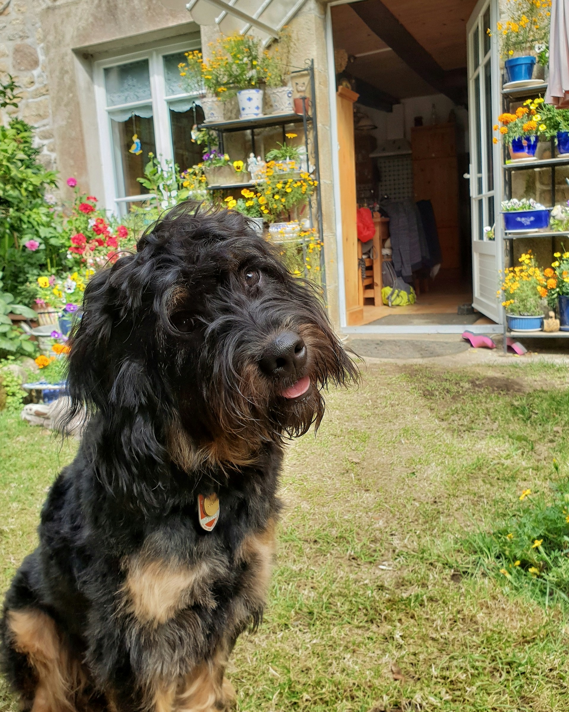 woman wearing yellow long-sleeved dress under white clouds and blue sky during daytime