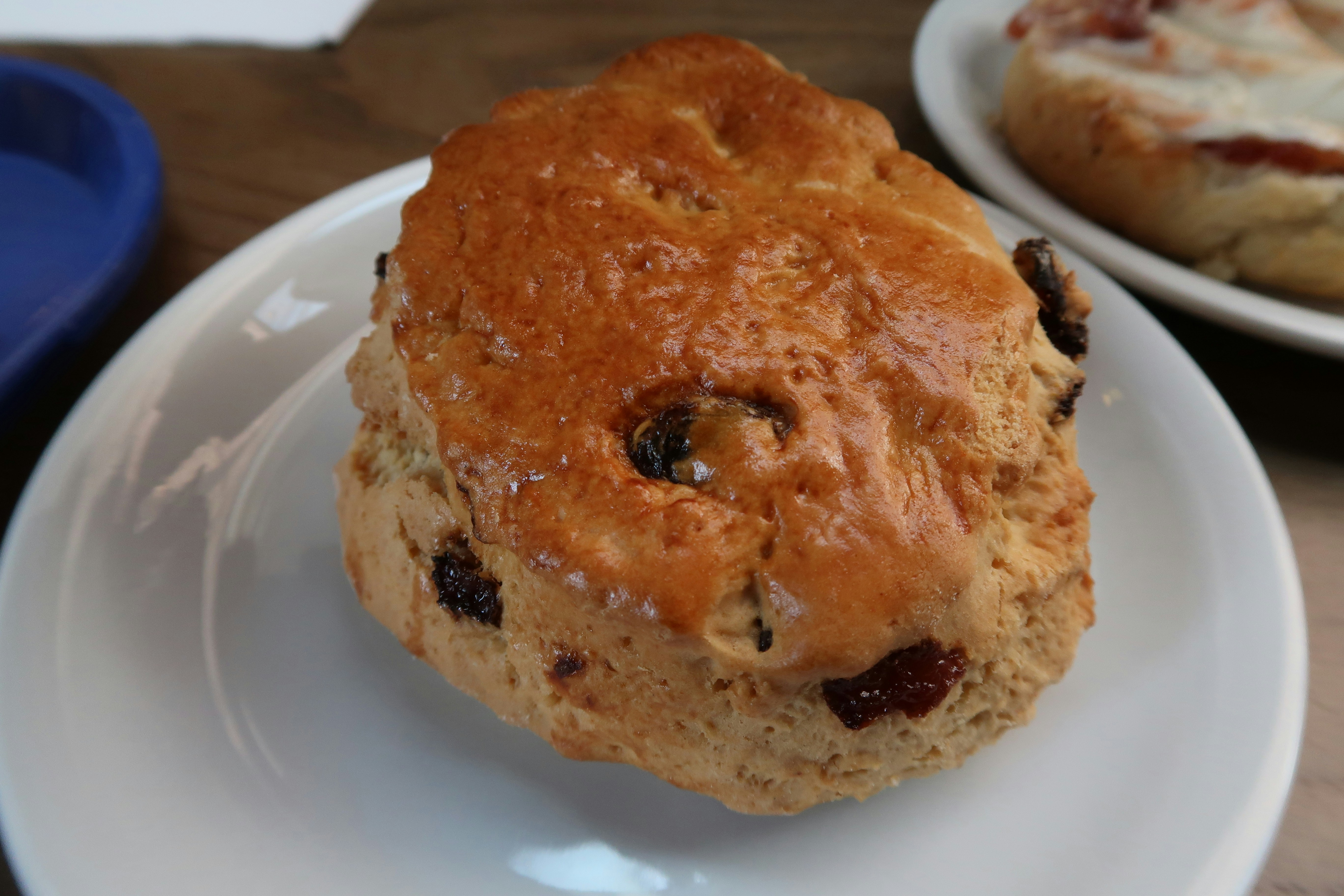 Chocolate Chip Cranberry Scones