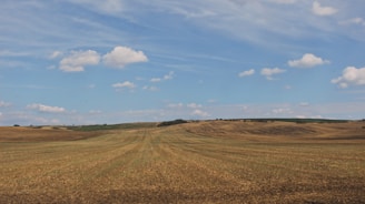 Wide agricultural land with plantations and open fields under a clear sky.