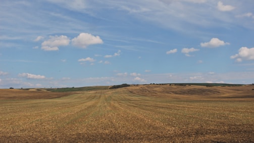 Open farmland land under a bright sky, ready for cultivation or development.