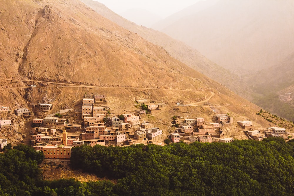 photo of brown houses surrounded by green trees