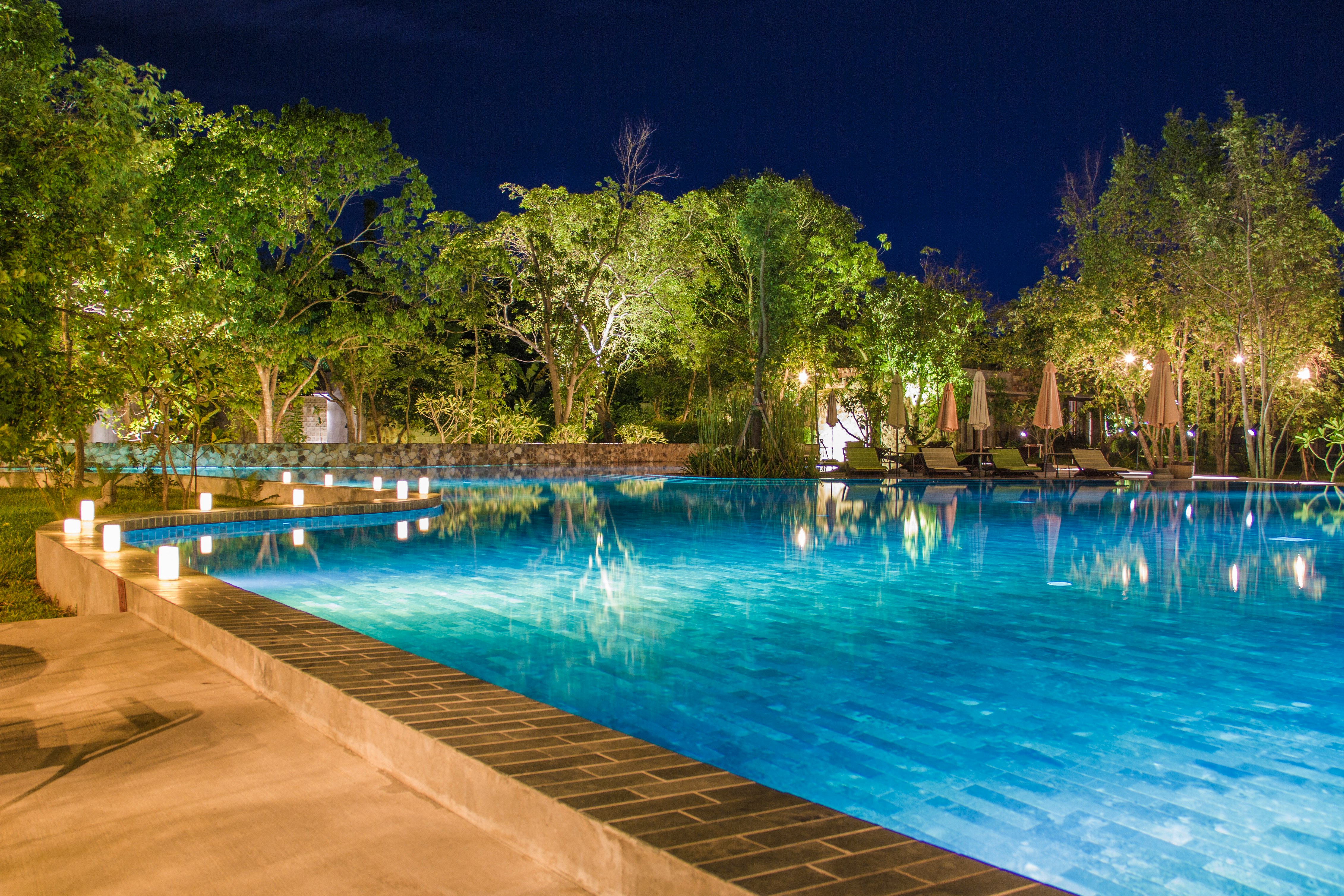 blue pool near tall trees at night