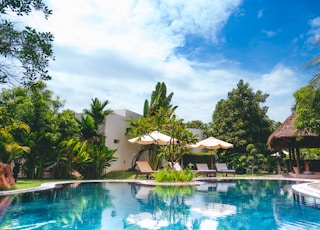 resort with pool, hut, and patio umbrellas