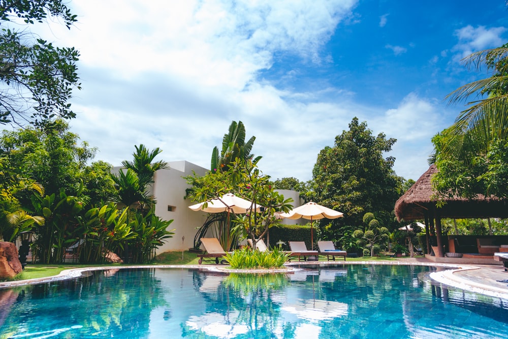 resort with pool, hut, and patio umbrellas