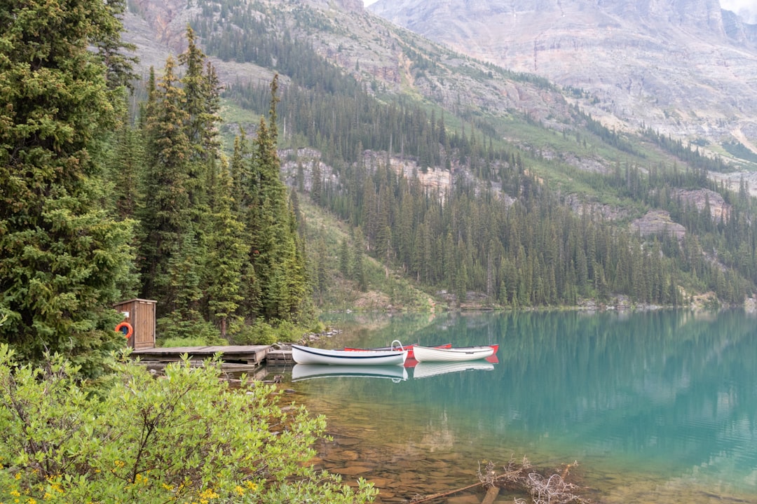 Hill station photo spot Lake O'Hara Emerald Lake