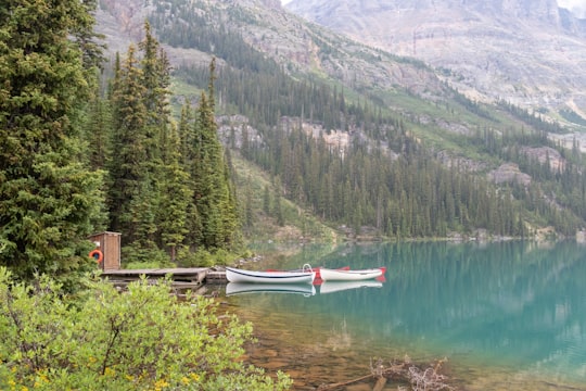 white canoes on body of water in Lake O'Hara Canada