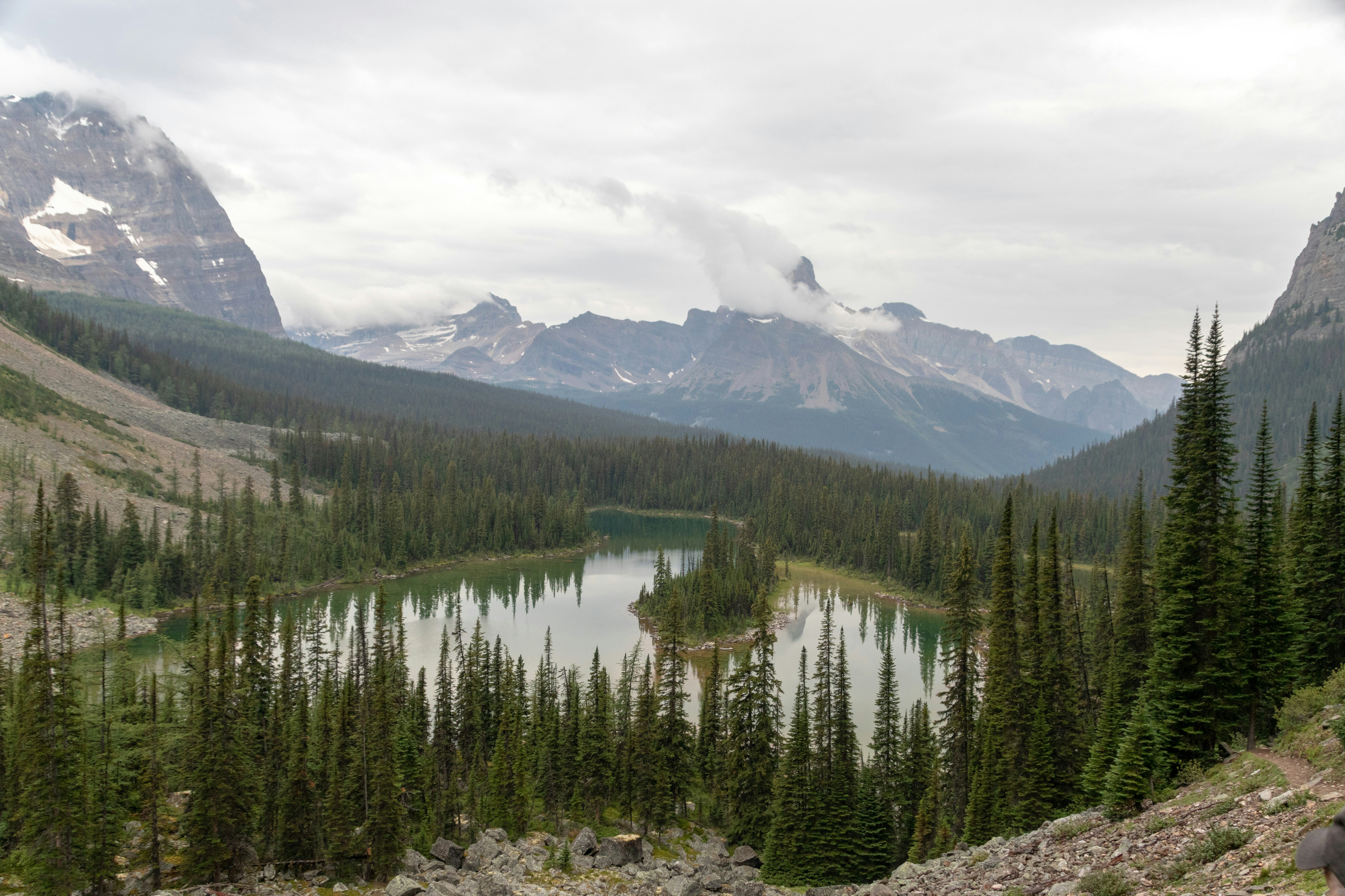 Photo by chickenmedic